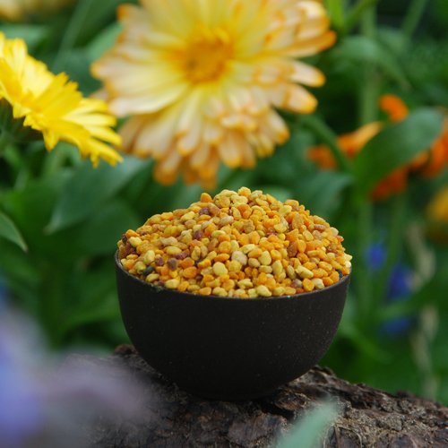 Blütenpollen kaufen